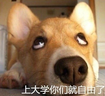 当年高中老师的口头禅，你还记得几句？