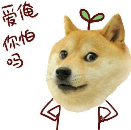 单身狗专属的拽拽表情包合集