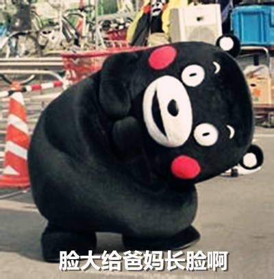 熊本熊搞笑脸大表情包来啦！劳资就是脸大怎么了？
