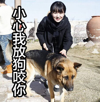 杨紫同款逗萌表情包来啦！和花样姐姐一起解锁软萌聊天姿势