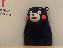 熊笨熊蠢萌表情包合集来了