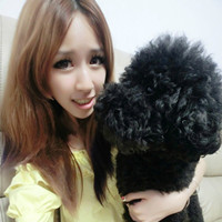 女生抱狗狗的暖心头像合集 29张治愈感拉满