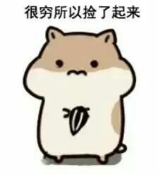 仓鼠掉瓜子表情包合集来了