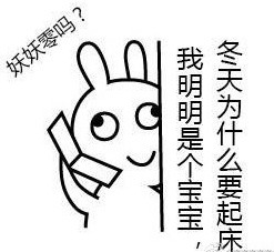 恶搞兔版“全世界针对我的美丽”表情包来啦