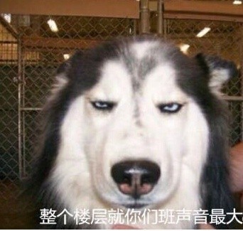 当年高中老师的口头禅，你还记得几句？