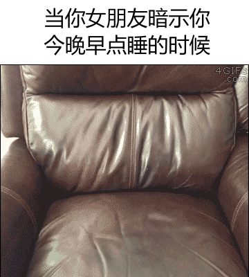 女朋友让你早点睡？这套汪喵表情包帮你精准get信号