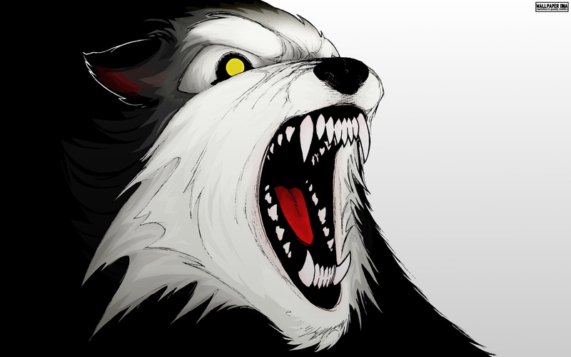 谁能拒绝软乎乎的二哈幼崽壁纸？高清萌宠图直接抱走