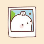 Molang兔软萌表情包来啦