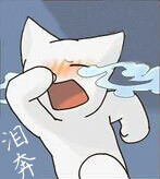 超治愈小萌猫表情包合集来啦