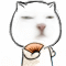 热门猥琐猫斗图表情合集