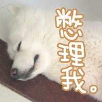 不想上班emo？这套汪星人表情包戳中打工人心声