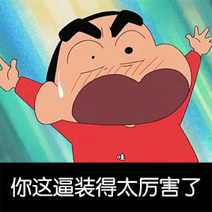 蜡笔小新斗图表情包合集