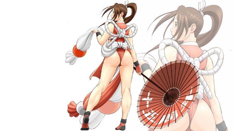 不知火舞绝美格斗战士壁纸合集