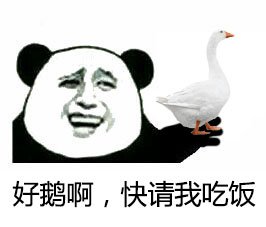 金馆长和动物的趣味表情包合集