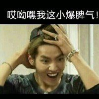 这款“小姑娘你可真逗”表情包，聊天斗图直接用