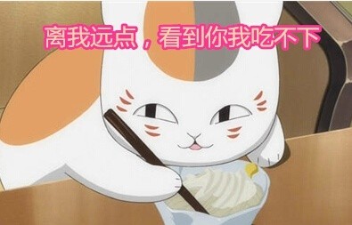 猫咪老师的可爱表情包来啦