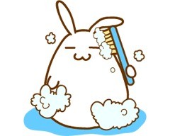 软萌兔子表情包合集