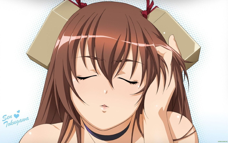 《百花缭乱武士少女》1080P高清动漫少女壁纸合集