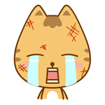 乖乖猫卡通表情包合集来啦