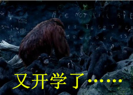 《猩球崛起》趣味表情包合集