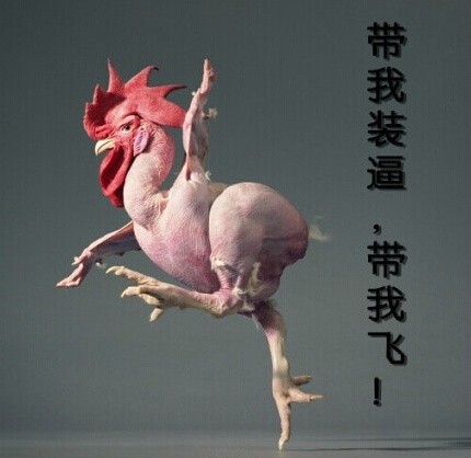 无毛鸡搞笑表情包合集来啦