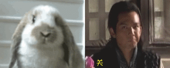 钟汉良的表情和萌宠表情包撞脸了？相似度拉满！