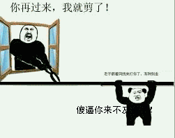 聊天斗图新梗：有本事顺着网线打我呀动图表情包