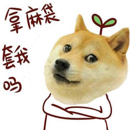 单身狗专属的拽拽表情包合集