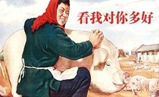 宣传图改的恶搞表情包都在这了