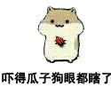 仓鼠掉瓜子表情包来啦！快用这套表情斗图