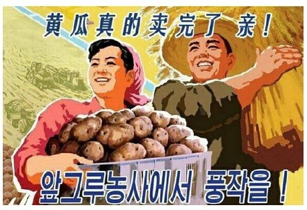 海报表情包合集上新啦