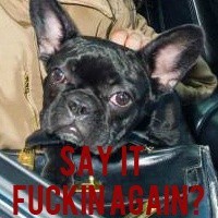 单身狗专属！这套英文版表情包太适配日常吐槽