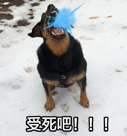 狗子口吐光波表情包来啦