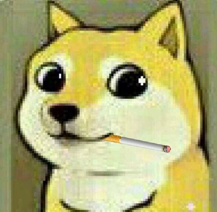 火出圈的神烦狗doge表情包合集来啦