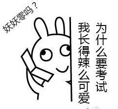 恶搞兔版“全世界针对我的美丽”表情包来啦