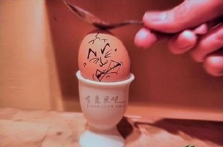 软萌鸡蛋表情来啦！斗图就用这套可爱到蛋碎的表情包