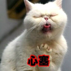 汪星人喵星人版！这套“蛋蛋的忧桑”表情包太戳人了