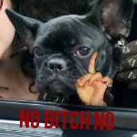 单身狗专属！这套英文版表情包太适配日常吐槽