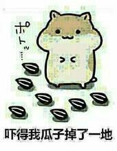 仓鼠掉瓜子表情包合集来了