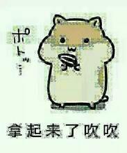 仓鼠掉瓜子表情包合集来了