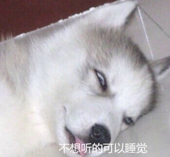 当年高中老师的口头禅，你还记得几句？