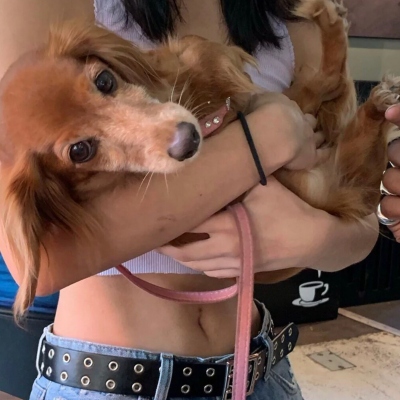 超甜真人情侣头像合集 一共10张