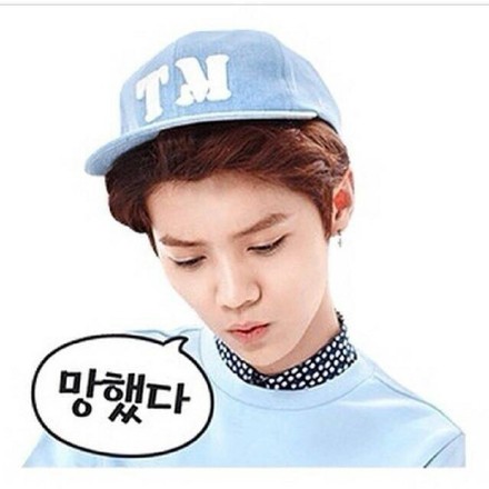 鹿晗同款萌萌哒聊天表情合集