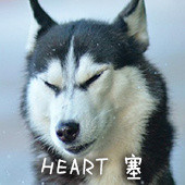 单身狗专属恶搞表情包合集