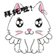 软乎乎的白色小猫咪表情包来啦