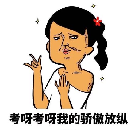 学生党懂的！《野子》考试版表情包来了