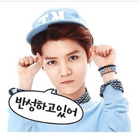 鹿晗同款萌萌哒聊天表情合集