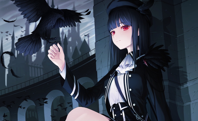 乌鸦黑发少女插画壁纸