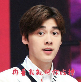 聊天斗图必备！李易峰专属表情包合集