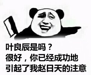 赵日天龙傲天喊不服！这套梗表情包太整活了